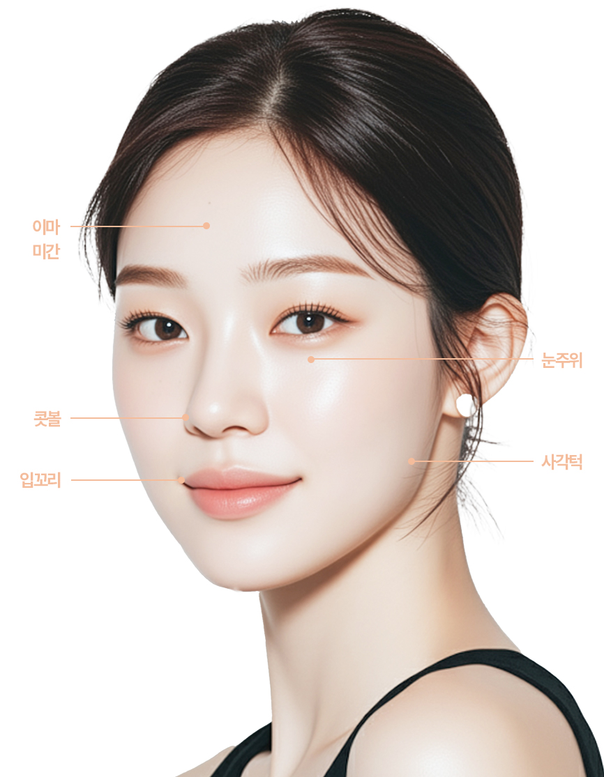 보톡스 얼굴 시술 부위