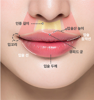 코랄이 제안하는 정교한 입술 중심 디자인